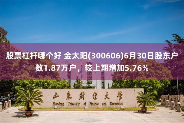 股票杠杆哪个好 金太阳(300606)6月30日股东户数1.87万户，较上期增加5.76%