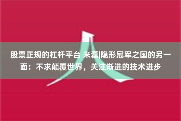 股票正规的杠杆平台 米磊|隐形冠军之国的另一面：不求颠覆世界，关注渐进的技术进步