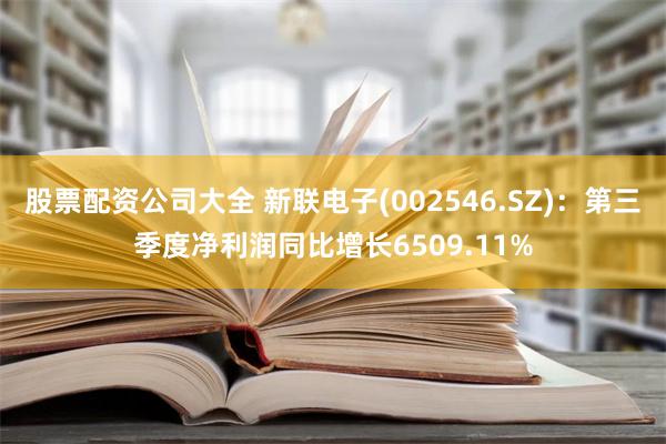 股票配资公司大全 新联电子(002546.SZ)：第三季度净利润同比增长6509.11%