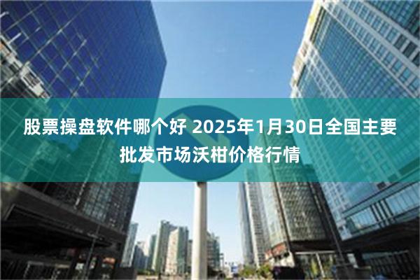 股票操盘软件哪个好 2025年1月30日全国主要批发市场沃柑价格行情