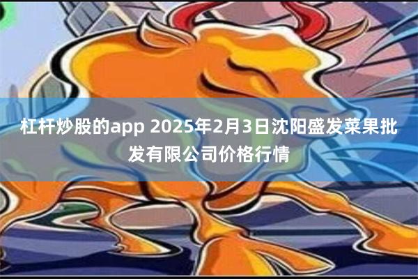 杠杆炒股的app 2025年2月3日沈阳盛发菜果批发有限公司价格行情