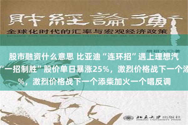 股市融资什么意思 比亚迪“连环招”遇上理想汽车王炸业绩：后者“一招制胜”股价单日暴涨25%，激烈价格战下一个添柴加火一个唱反调